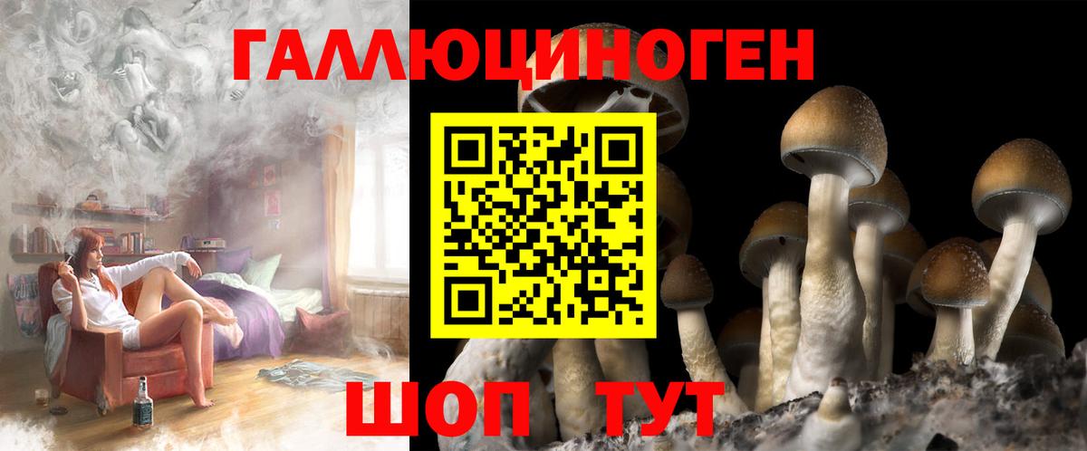 Галлюциногенные грибы мухоморы Курчалой