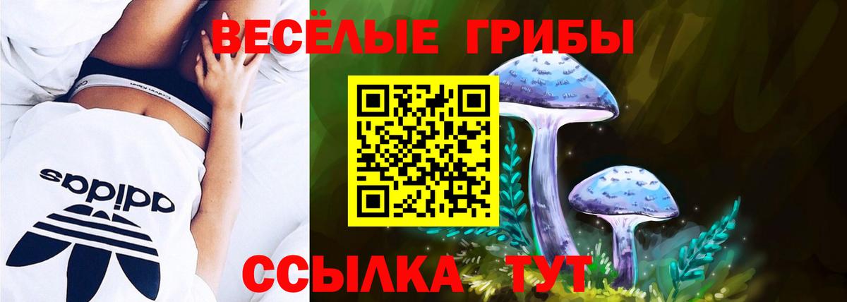 Псилоцибиновые грибы мухоморы  Галлюциногенные грибы GOLDEN TEACHER  Вход с VPN  Курчалой 